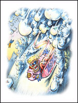 SURF CARTOONS by cartoonist Nick Lyons